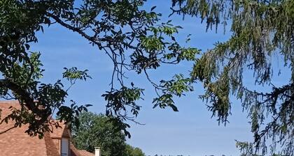 Gîte with swimming pool for 14 people in Périgord noir