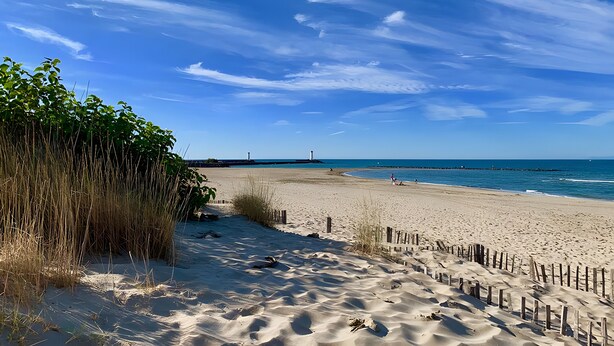Een zandstrand met een houten omheining, hoge gras en een helderblauwe lucht.
