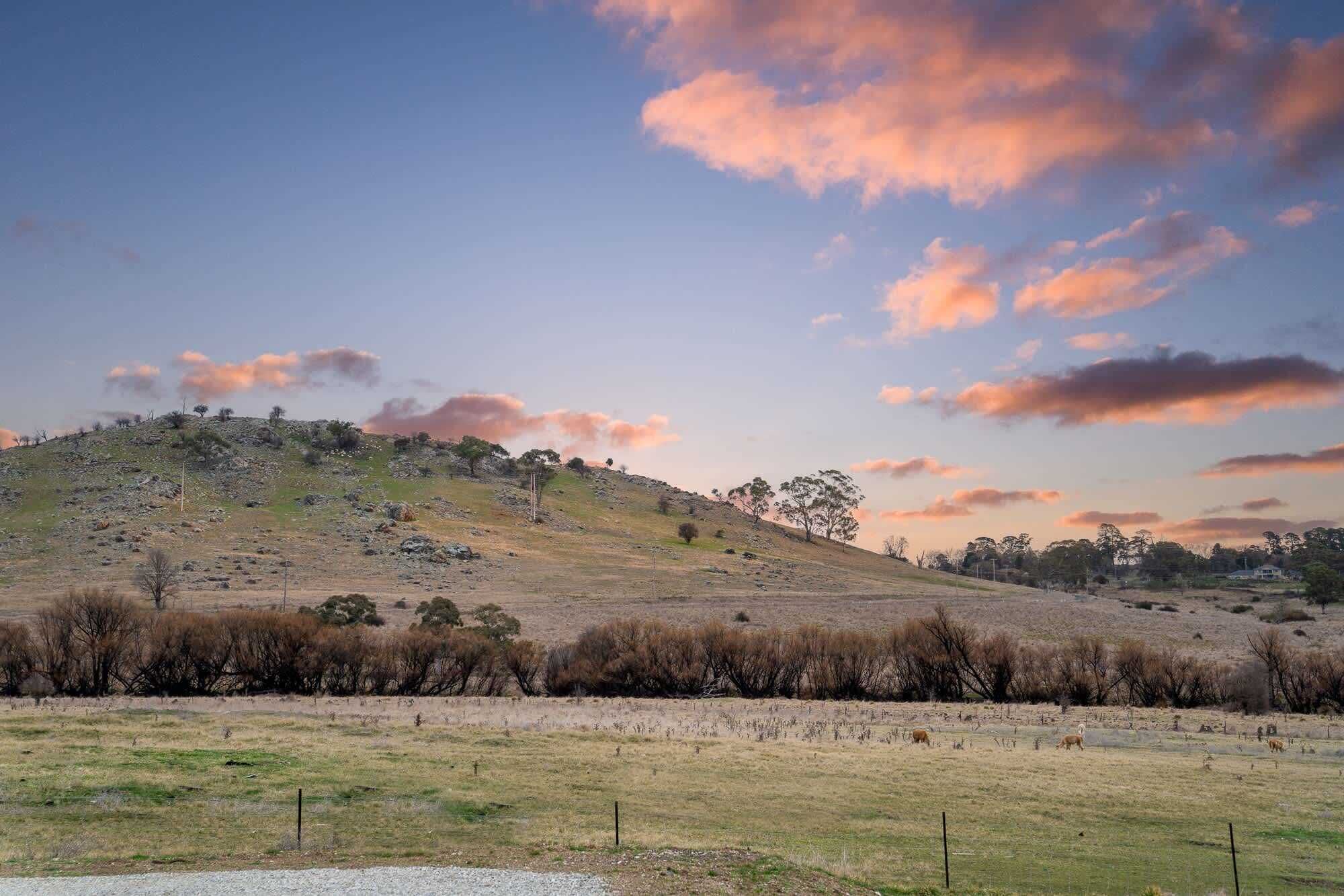 Un paysage rural avec un champ herbeux, une colline à la végétation clairsemée et un ciel dégagé parsemé de nuages.