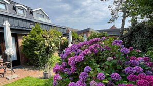 A garden with hydrangea bushes, a lawn, and a building with a sloped roof. - Oase in Westerland - 200 Meter zum Strand (Sylt)