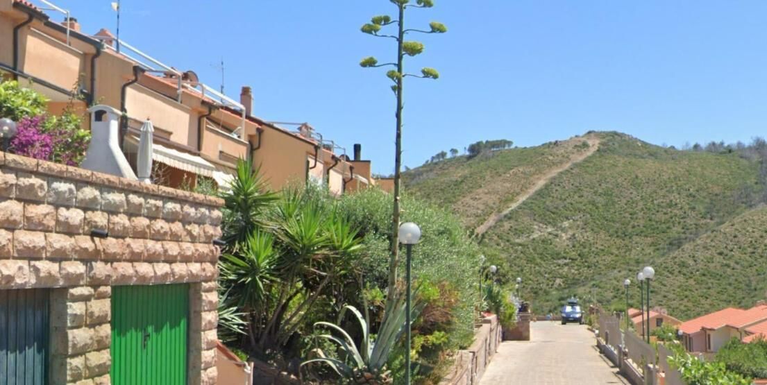 Apartment, 2 Bedrooms, Terrace, Garden View | Property grounds