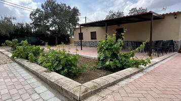 Terrein van de accommodatie