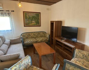 Fernseher, Kamin