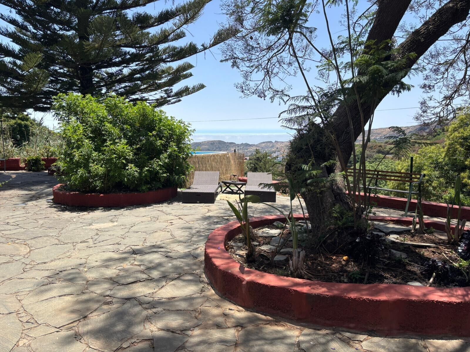 Eine Terrasse mit Steinboden, einem Baum und zwei Liegestühlen.
