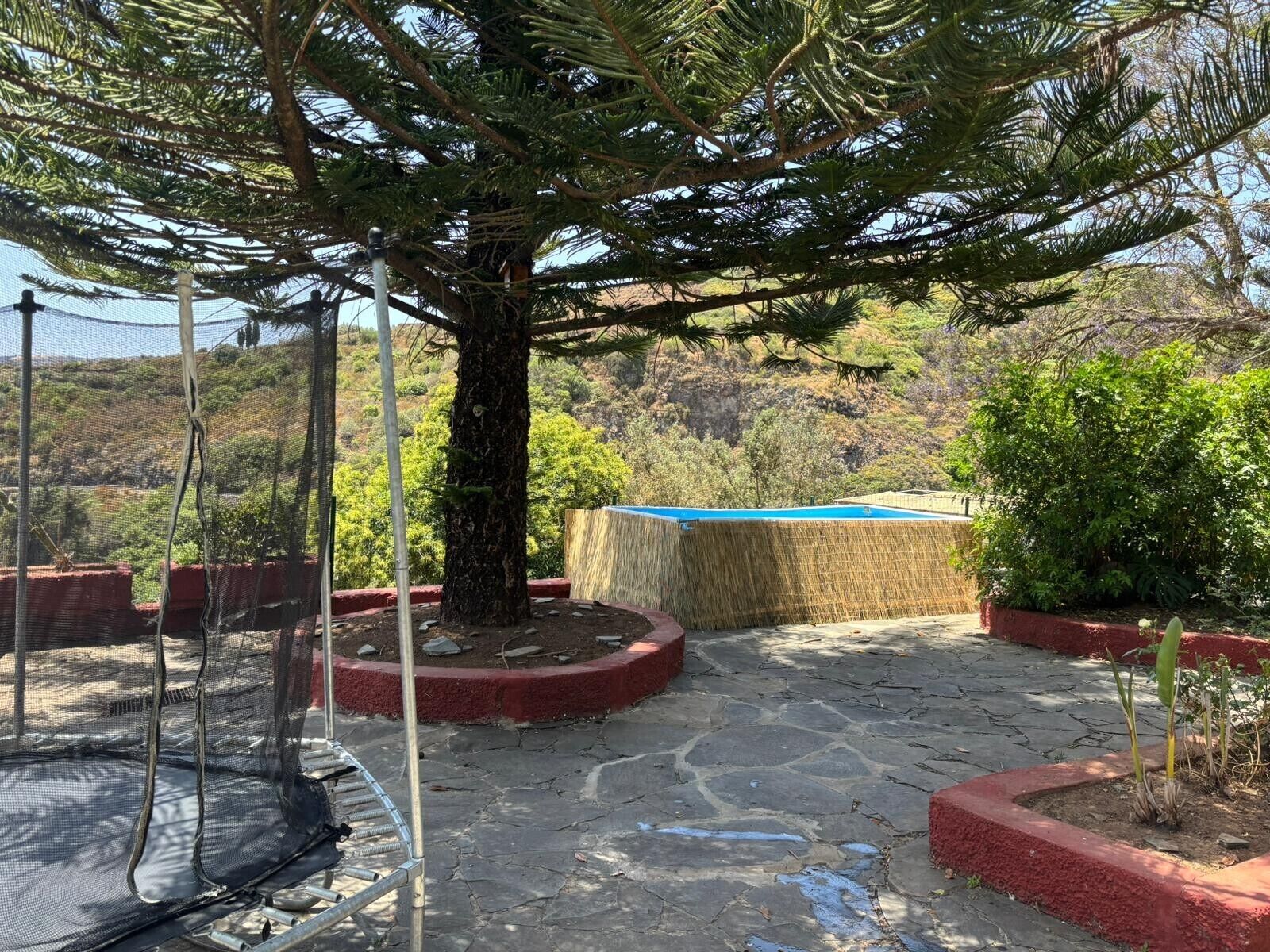 A tree with a hammock, a stone pathway, and a small garden area.