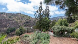 A mountainous landscape with a large coniferous tree, a dirt path, and a small garden area with various plants.