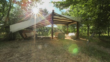 Cabin | Property grounds