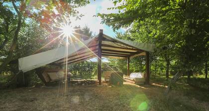Little Lodge Glamping