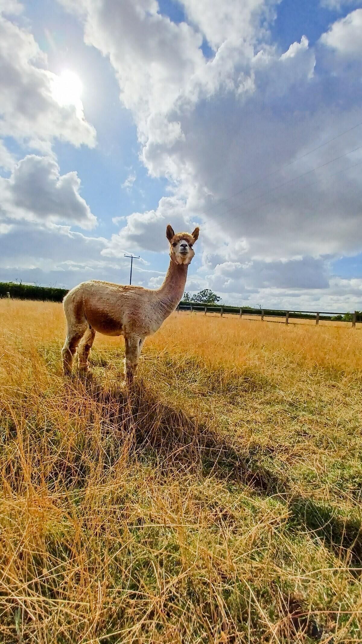 Cabin | Property grounds