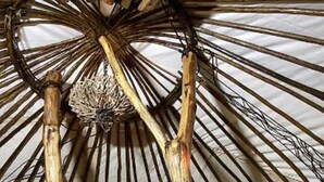 L’intérieur d’une yourte traditionnelle, avec une structure de plafond en bois, un luminaire suspendu au centre et un lit recouvert d’une couverture jaune.