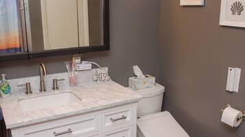 Shower, hair dryer, bidet, towels