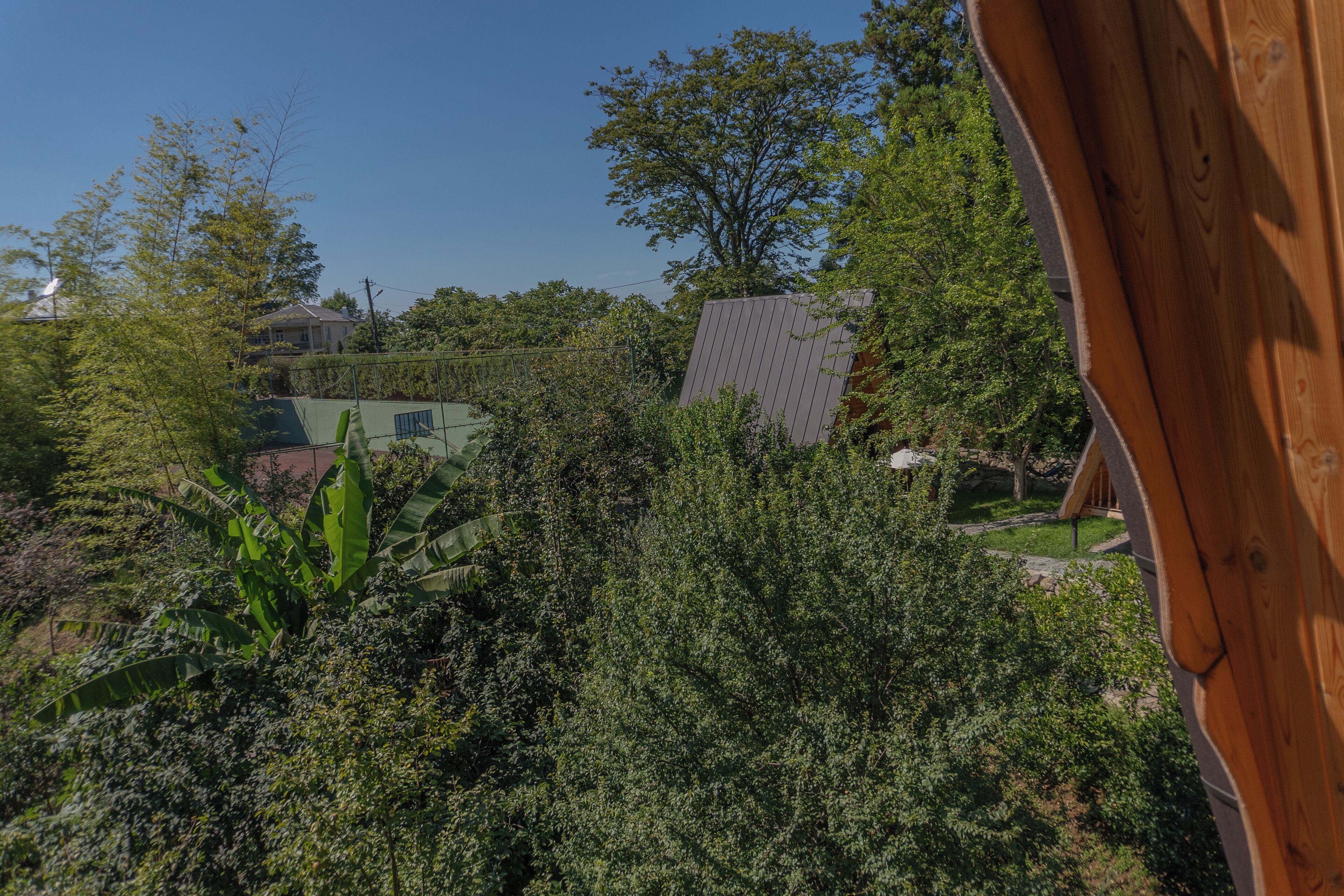 A view of a lush garden with various trees and plants, a wooden structure, and a building in the background.