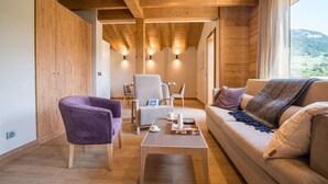 TV, fireplace - Praz-sur-Arly | Sleeps 6 | Vues imprenables (Praz-sur-Arly)