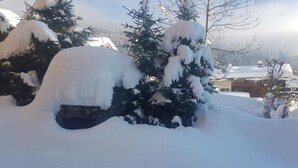 Schneebedeckte Landschaft mit Bäumen und einem Gebäude im Hintergrund.