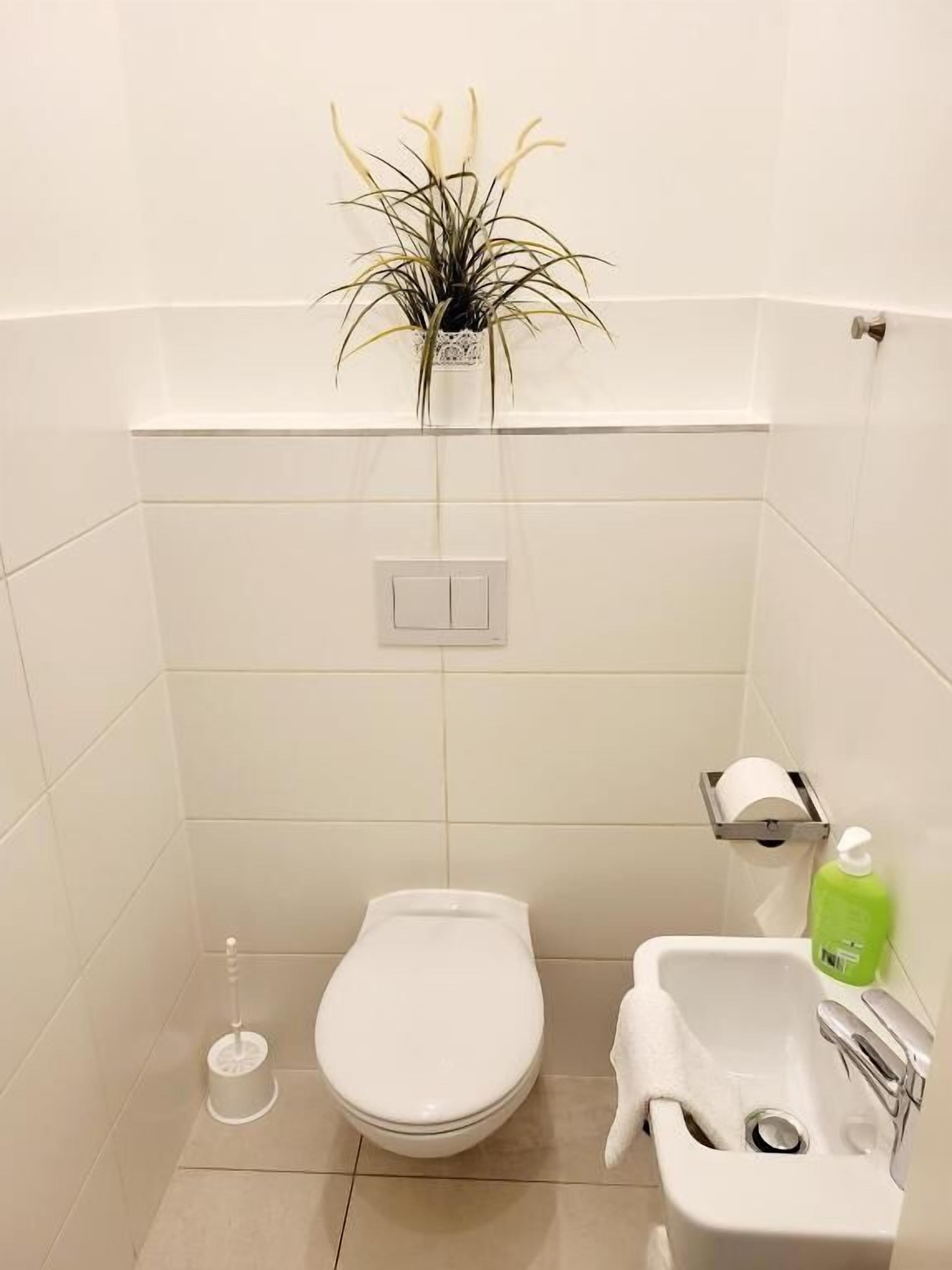 Un bagno piccolo e bianco con servizi igienici, lavandino e una pianta in vaso appesa al muro.
