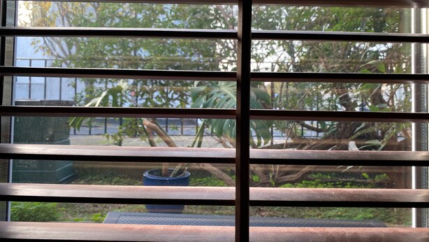 A window with horizontal blinds, through which a view of a courtyard with a potted plant and a table is visible. - London Oasis - 2 Bedroom Apartment (London)