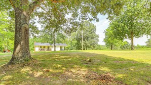 A large tree in a grassy area with a house in the background. - Horses Welcome: Marble Falls Home w/ Grill! (Marble Falls)