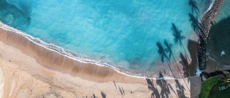 Accommodatie ligt op het strand