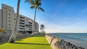 Un hôtel situé en bord de mer, doté d’un mur en pierre, de palmiers et offrant une vue dégagée sur l’océan.