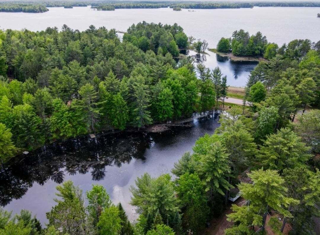 Une zone boisée avec un lac et un petit quai.