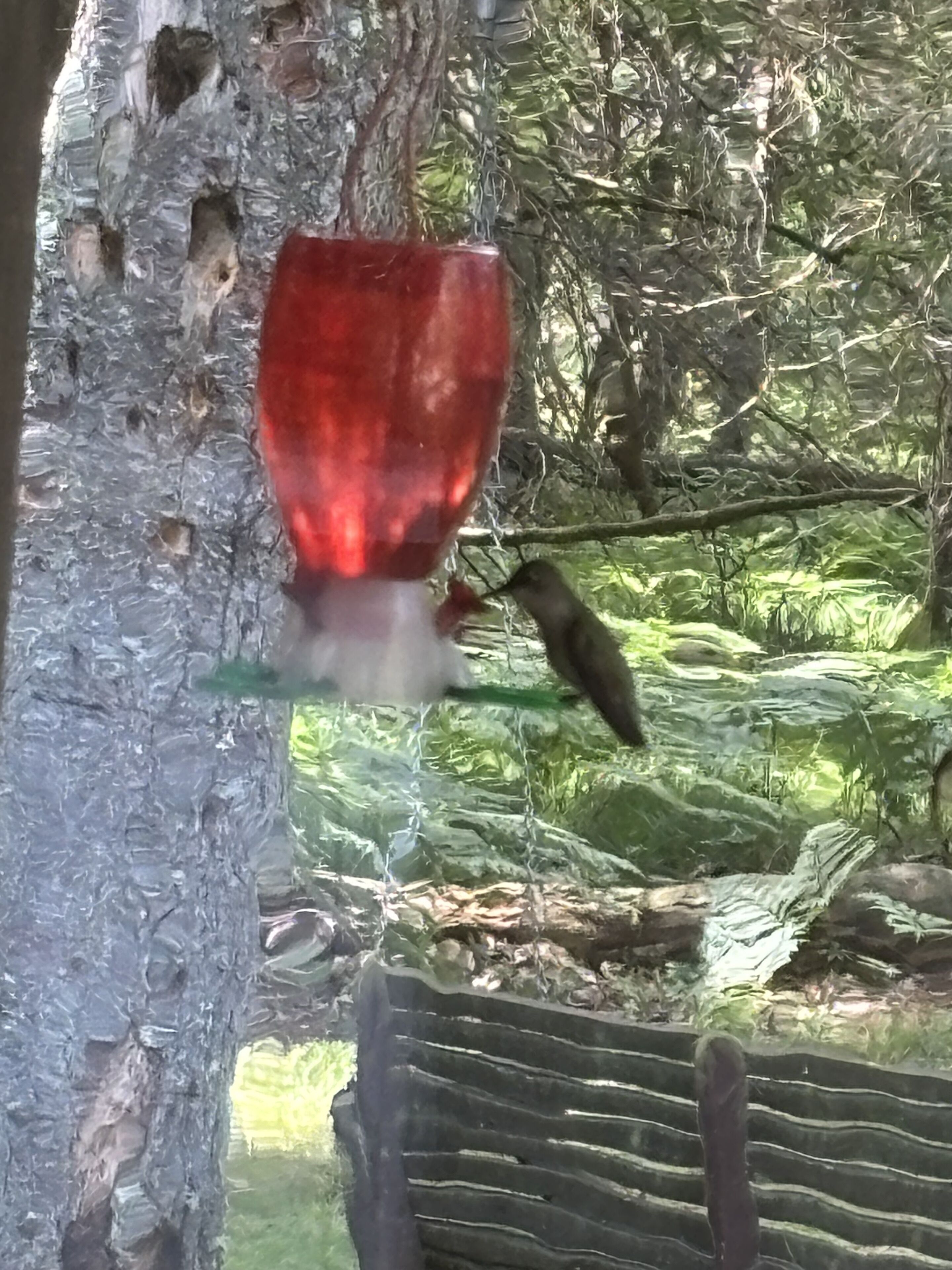 Un comedero para pájaros sujeto a un árbol.