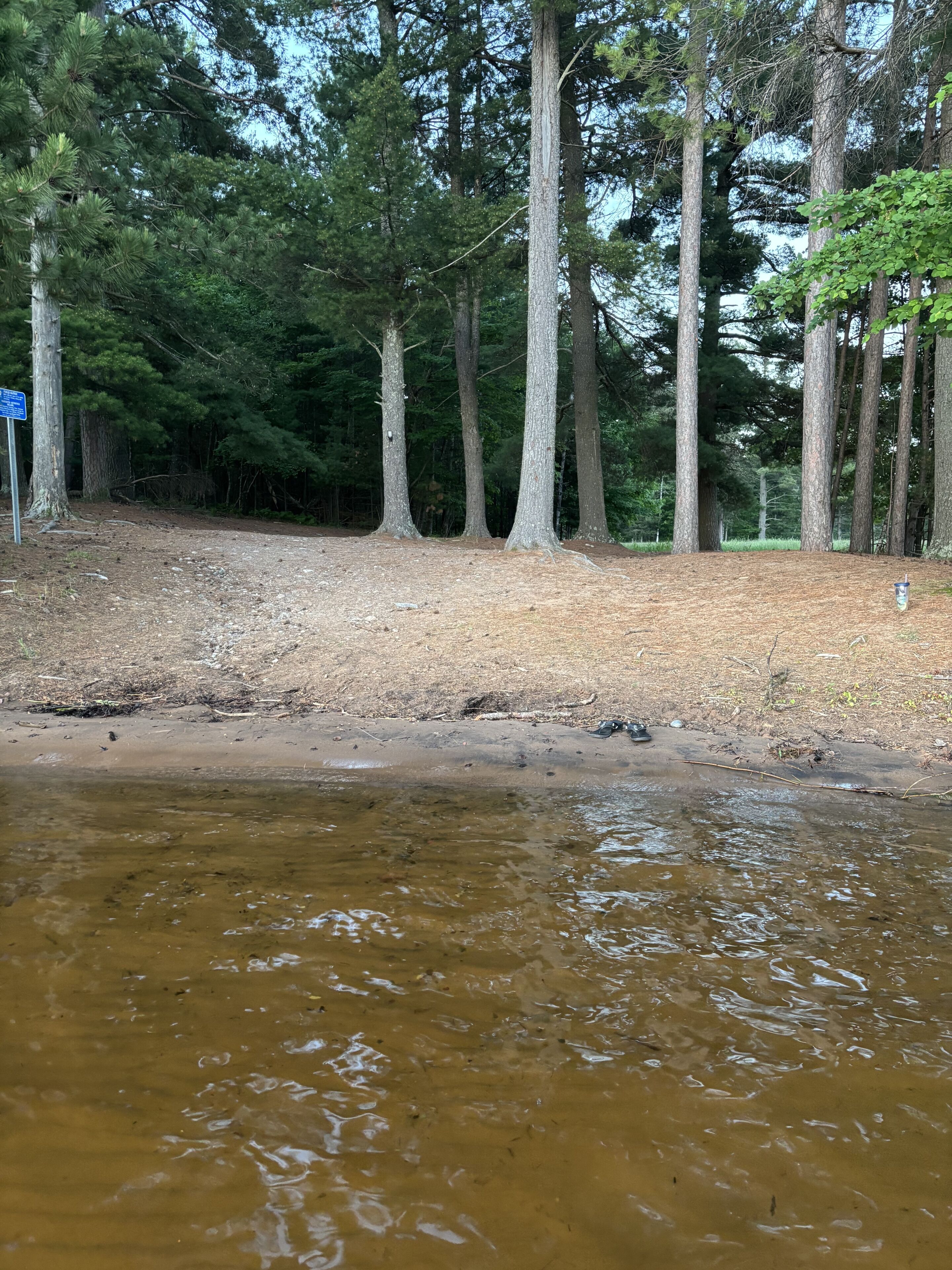 Een bebost gebied met een modderige waterpartij op de voorgrond.