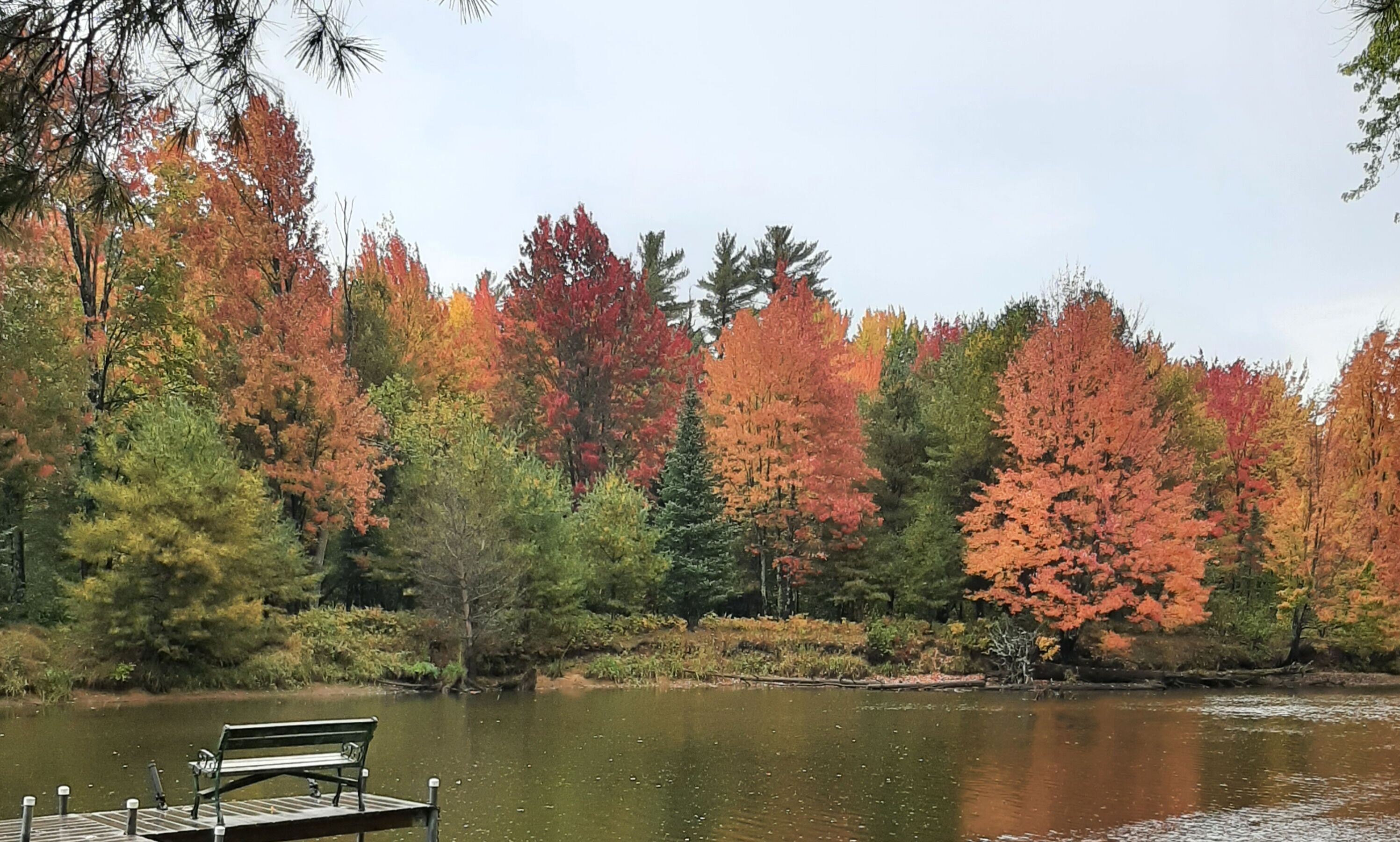 A lakeside bench with a dock extending into the water, surrounded by autumn-colored trees.