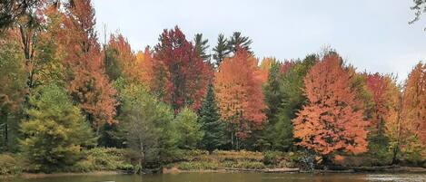 A lakeside bench with a dock extending into the water, surrounded by autumn-colored trees.
