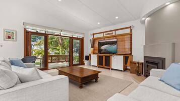 TV, fireplace, books