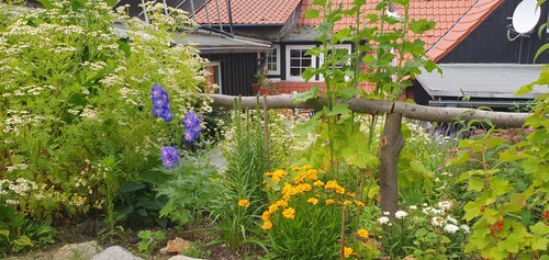 Ferienwohnung Fichtengrund - 35m² EG