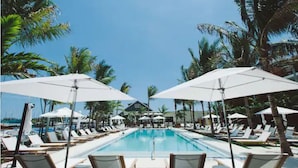 A poolside area with lounge chairs and umbrellas, surrounded by palm trees.