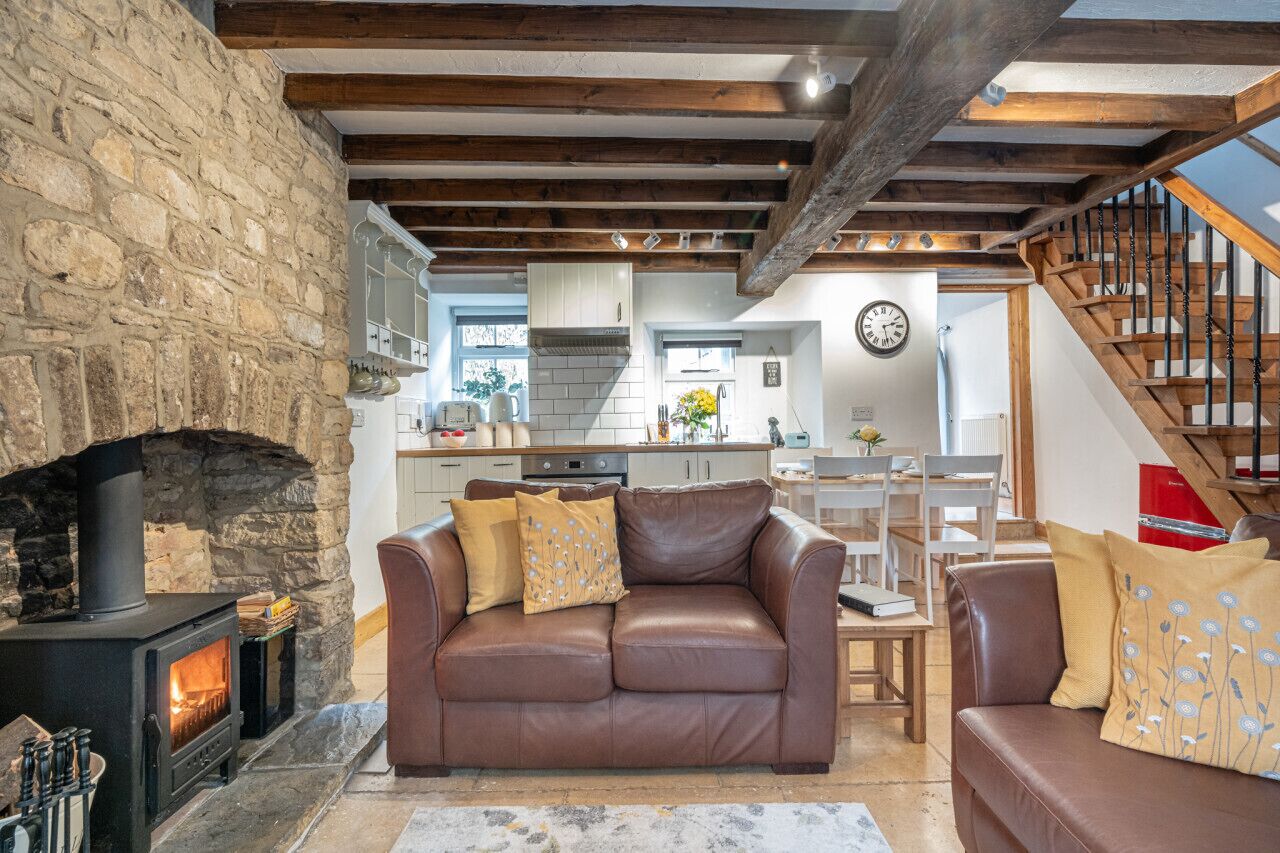 TV connectée, cheminée, livres