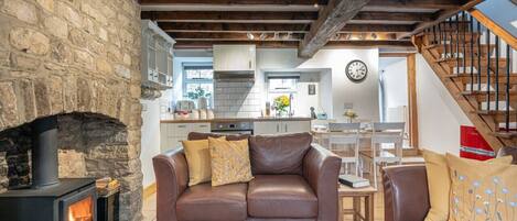 Smart TV, fireplace, books