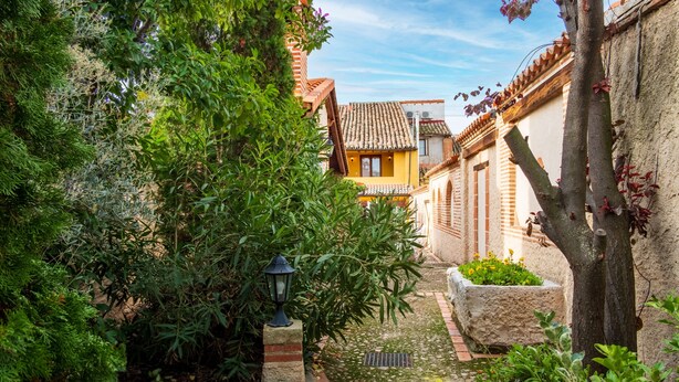 Un vialetto di giardino stretto, circondato da vegetazione rigogliosa e architettura tradizionale.