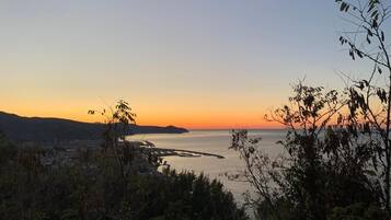 Ett kustlandskap med en solnedgång, en vattenyta och en avlägsen stadsbild.