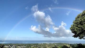 A coastal landscape with a rainbow, lush greenery, and a view of the ocean and distant buildings.
