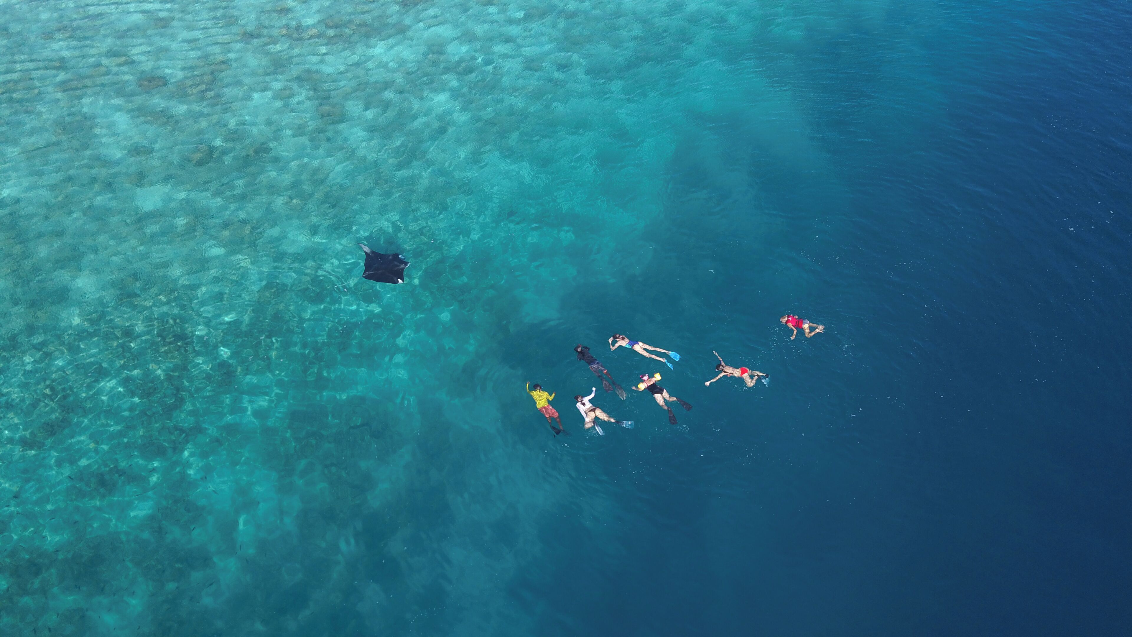 Vista aérea de un mar azul cristalino con un grupo de personas nadando.