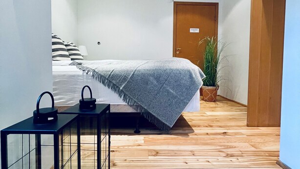 Un dormitorio moderno con una cama, mesitas de noche, un televisor y una planta en maceta.