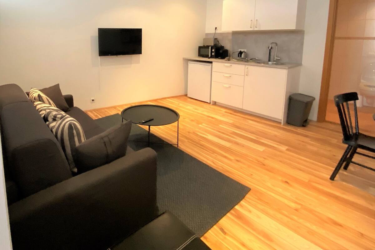 Family Apartment | Private kitchenette | Cookware/dishes/utensils