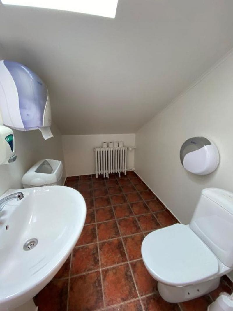 Une petite salle de bain avec un lavabo blanc, des toilettes et un radiateur.