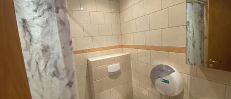 Basic Room, Private Bathroom | Bilik Mandi | Kelengkapan dandanan diri percuma, pengering rambut, tuala disediakan