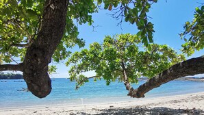 Ein Strand mit einem Baum, der Schatten über den Sand wirft.