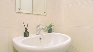 A bathroom with a white sink, a mirror, and a small potted plant.
