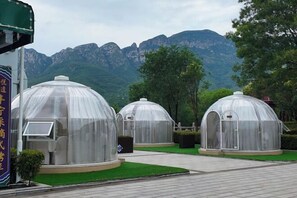 A row of transparent dome-shaped structures with a view of mountains in the background. - Jinpeng Eco Hotel (Dengfeng)