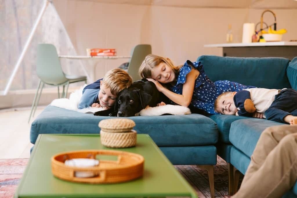 Una sala de estar con un sofá azul, una mesa de centro verde y una cesta sobre la mesa.