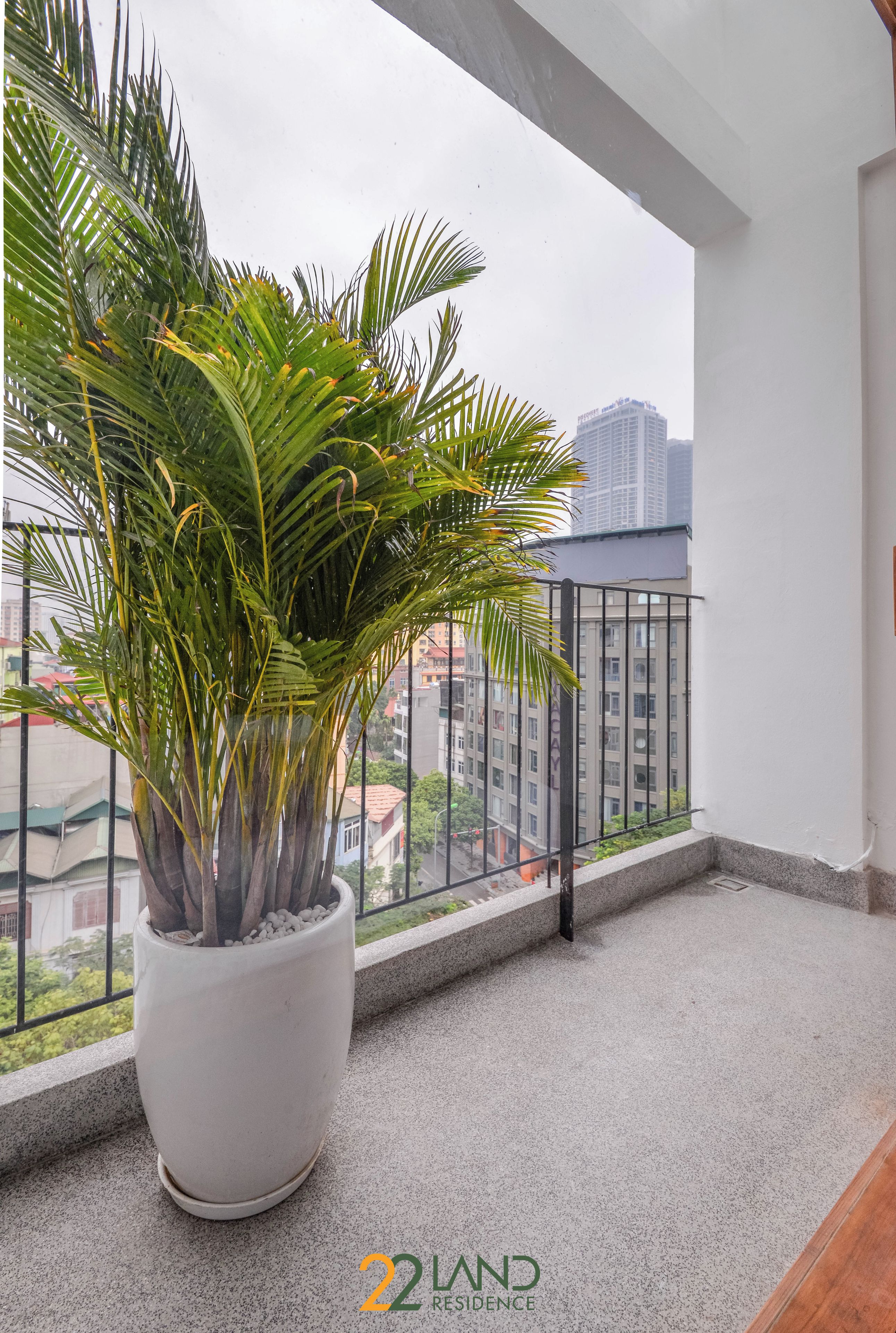 A balcony with a large potted plant, a metal railing, and a view of city buildings.