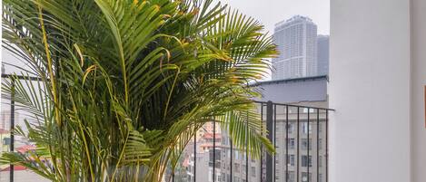 A balcony with a large potted plant, a metal railing, and a view of city buildings.