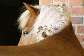 Détail de l’intérieur