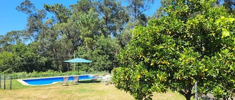 Alberca