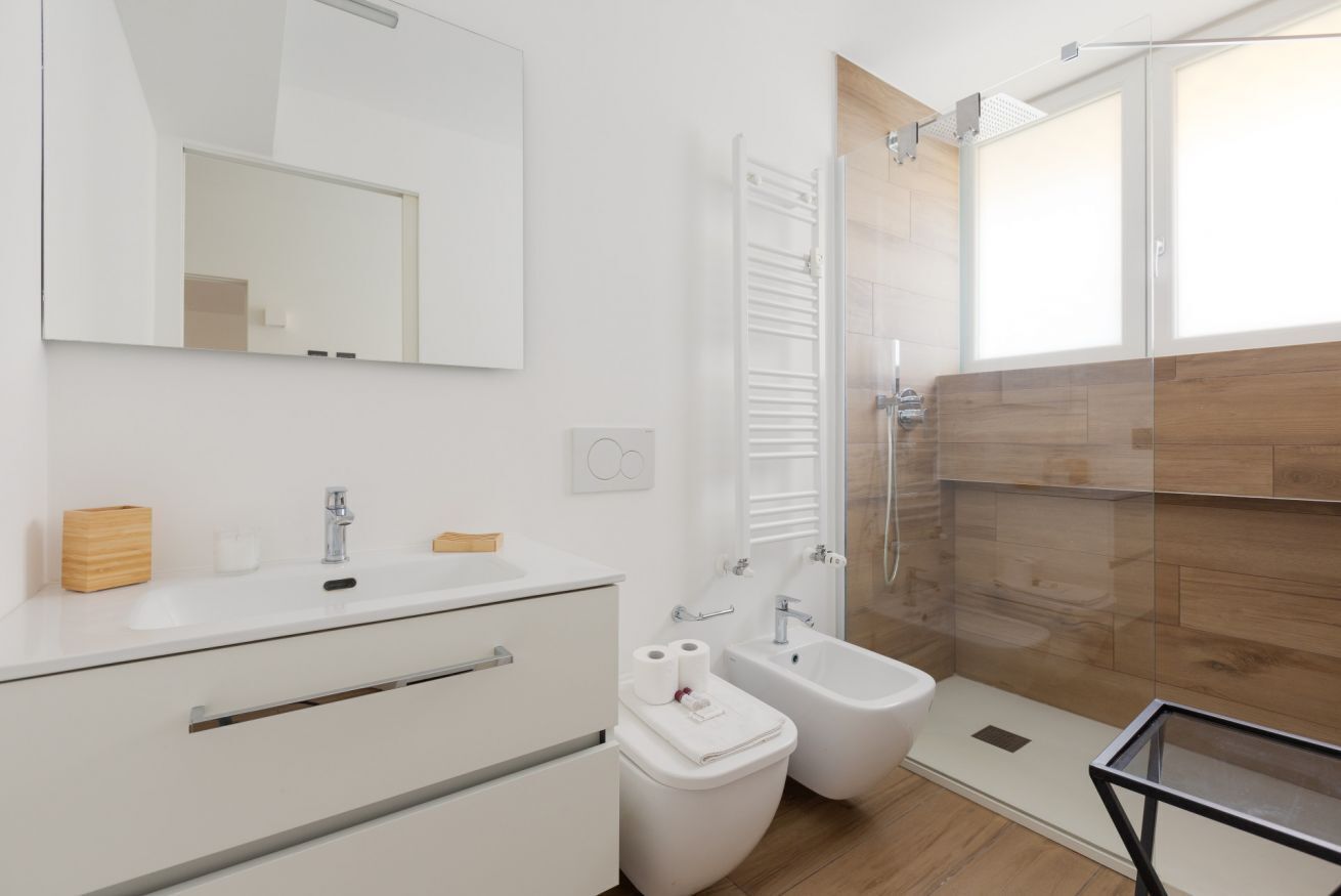 Shower, hair dryer, bidet, towels